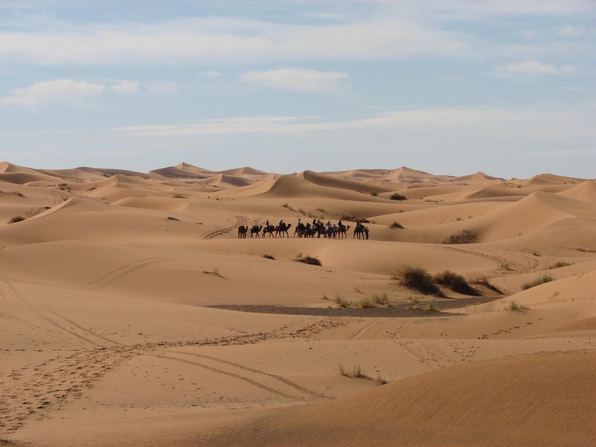 Kasbah Erg Chebbi Hotel Merzouga Eksteriør billede