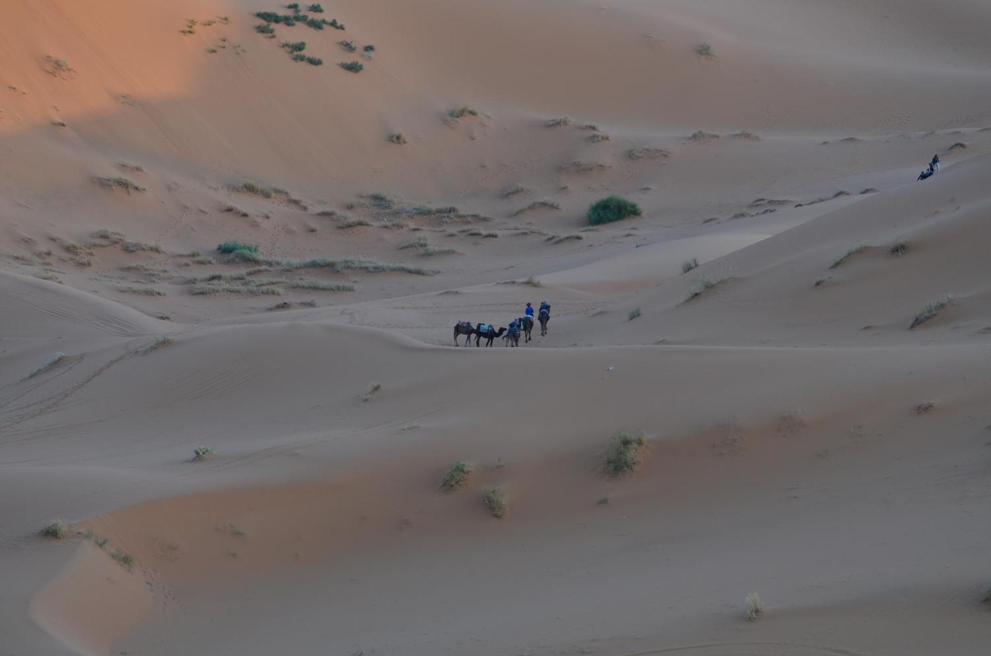 Kasbah Erg Chebbi Hotel Merzouga Eksteriør billede