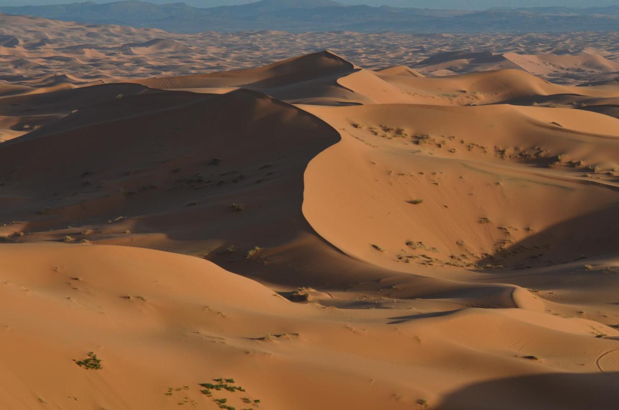Kasbah Erg Chebbi Hotel Merzouga Eksteriør billede